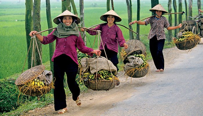 DISCOVER LIFE IN VIETNAM